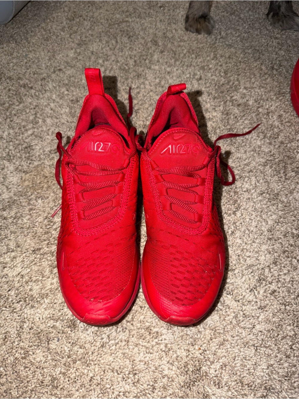 Nike Kids All-Red Air Max 270 Mesh Sneakers